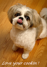 606 Lhasa Apso