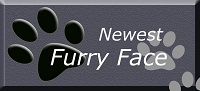 Newest Furry Face